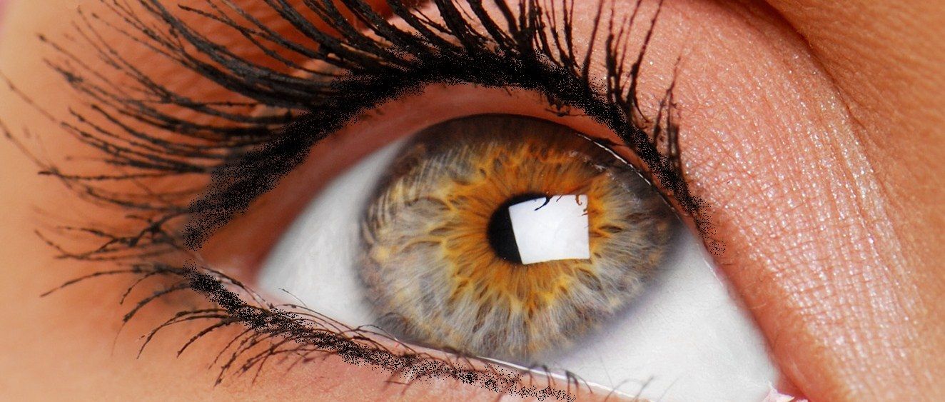 Wimpernkranz