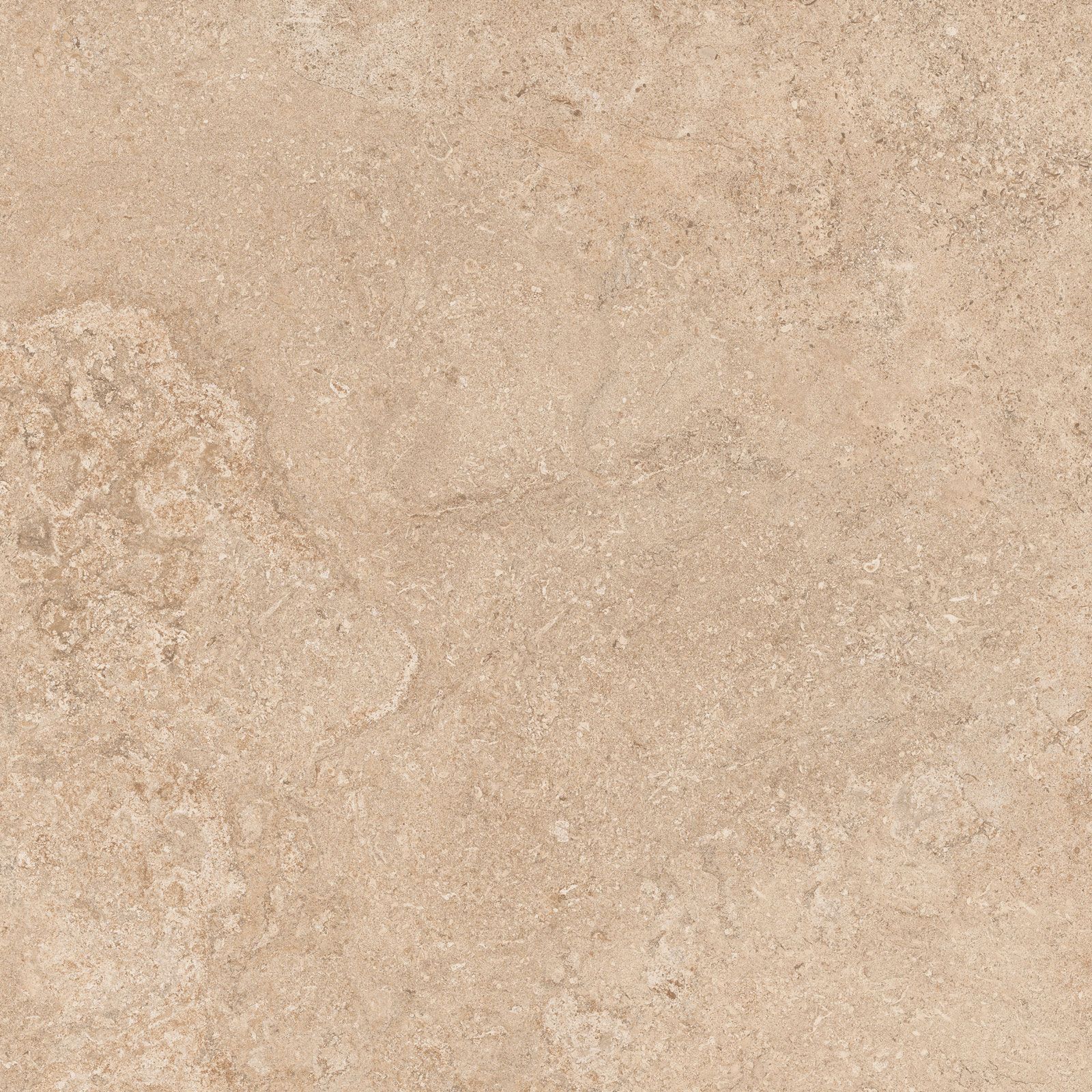 PRO PORTLAND BEIGE