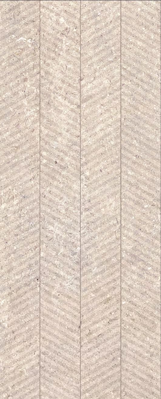 SPIGA CORAL CALIZA