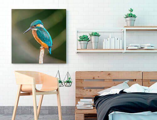 Fine Art Printing