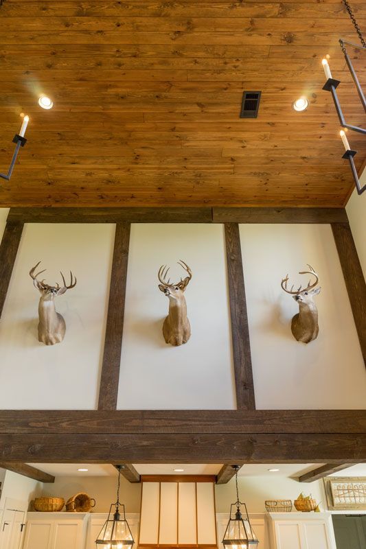 Three deer heads mounted above a wooden bar with a high wood ceiling and warm lights