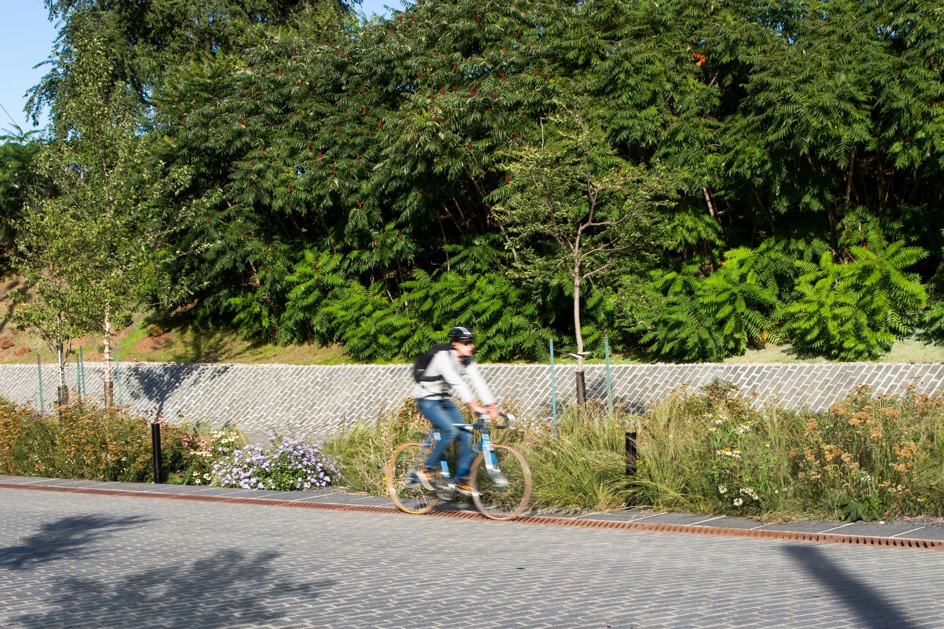 PROMENADE SMITH : photo@NIPPAYSAGE