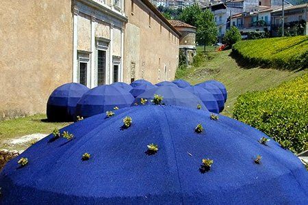 Flore laurentienne