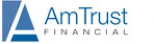 AmTrust Group