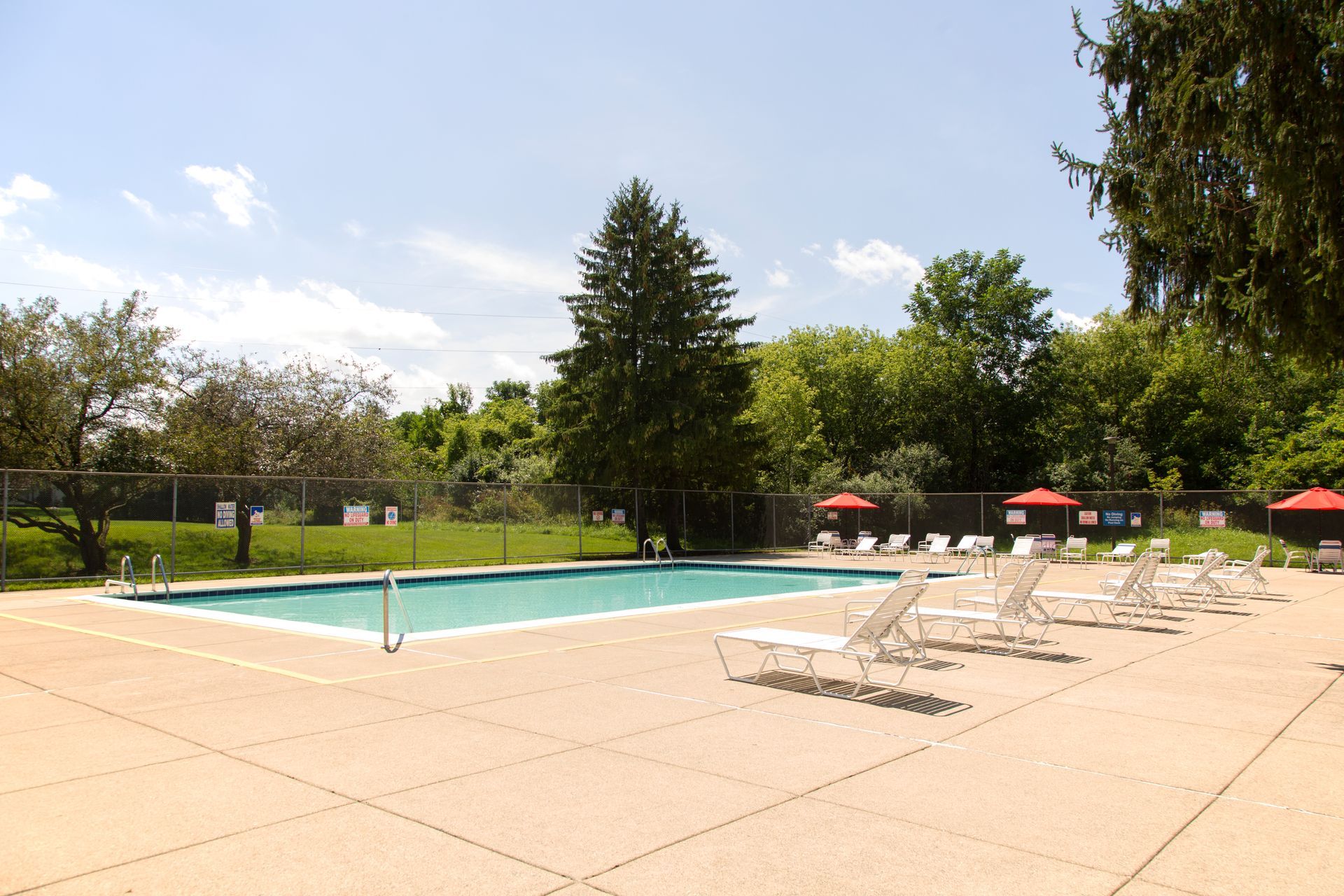 A large swimming pool surrounded by chairs and umbrellas