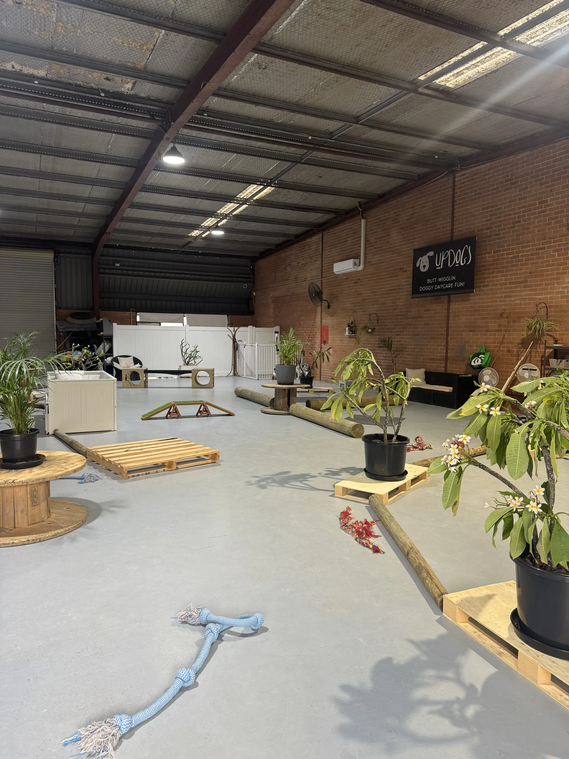 Indoor plant nursery with potted plants, brick walls, and hanging fern baskets under a metal roof