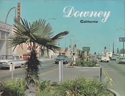 Los Angeles Private Investigator in Downey California