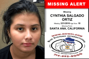 Private Investigator in Santa Ana