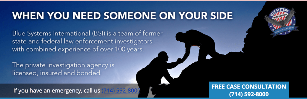 Blue Systems International header