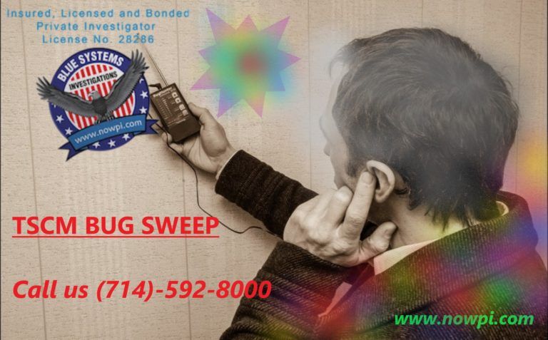 A man is holding a bug sweep device in his hand - Blue Systems International