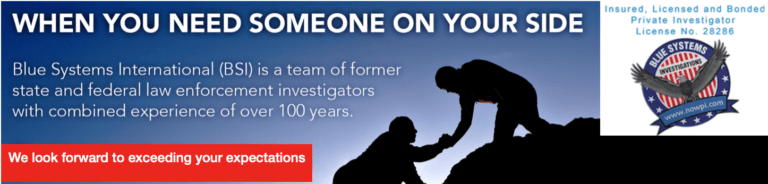 Blue Systems International
