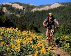 California dangerous for bicyclists