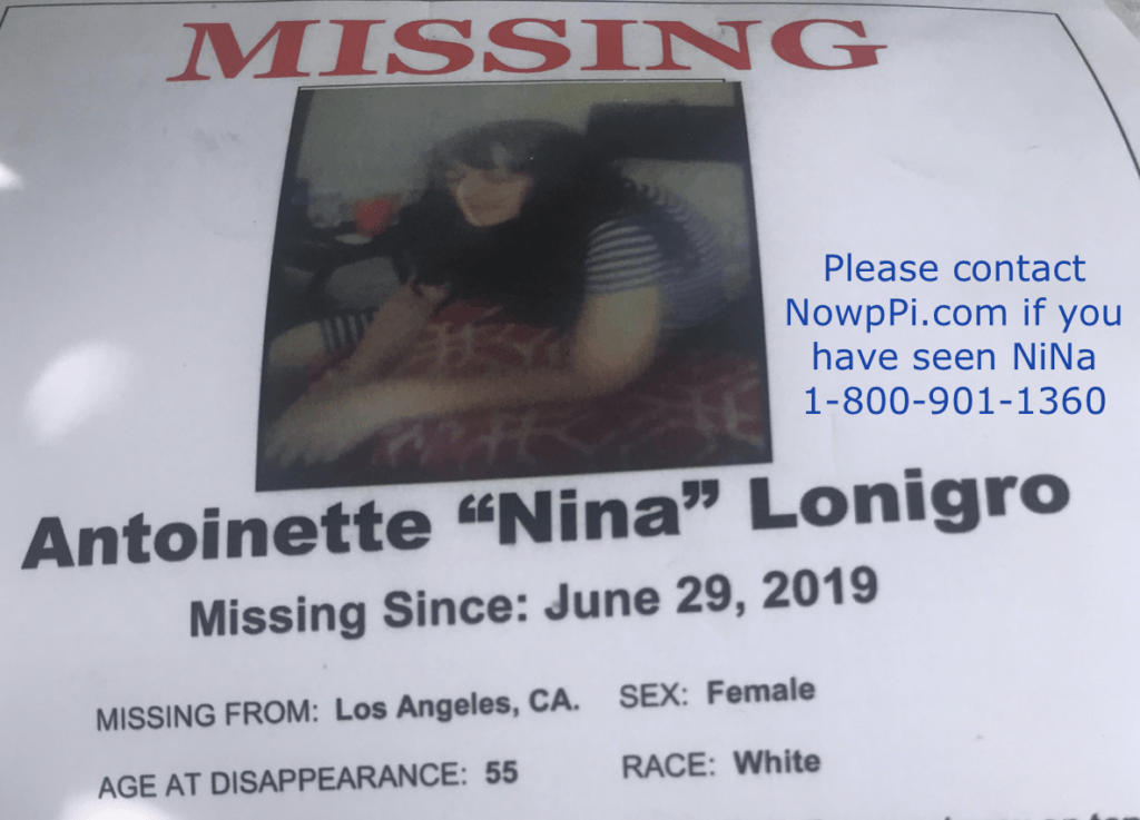 A missing poster for antoinette nina lonigro