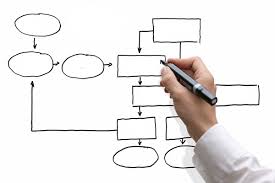 organization investigation