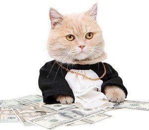 Trust funds for your pet