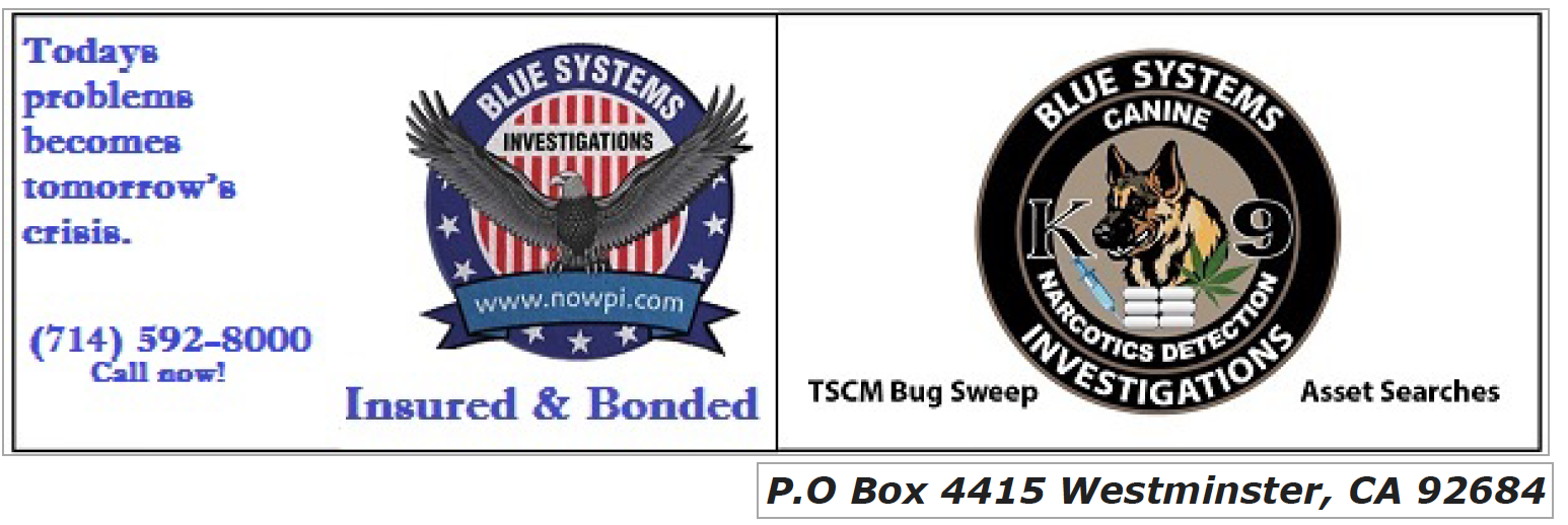 Two logos for a company called blue systems