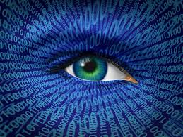 Surveillance and undercover investigations