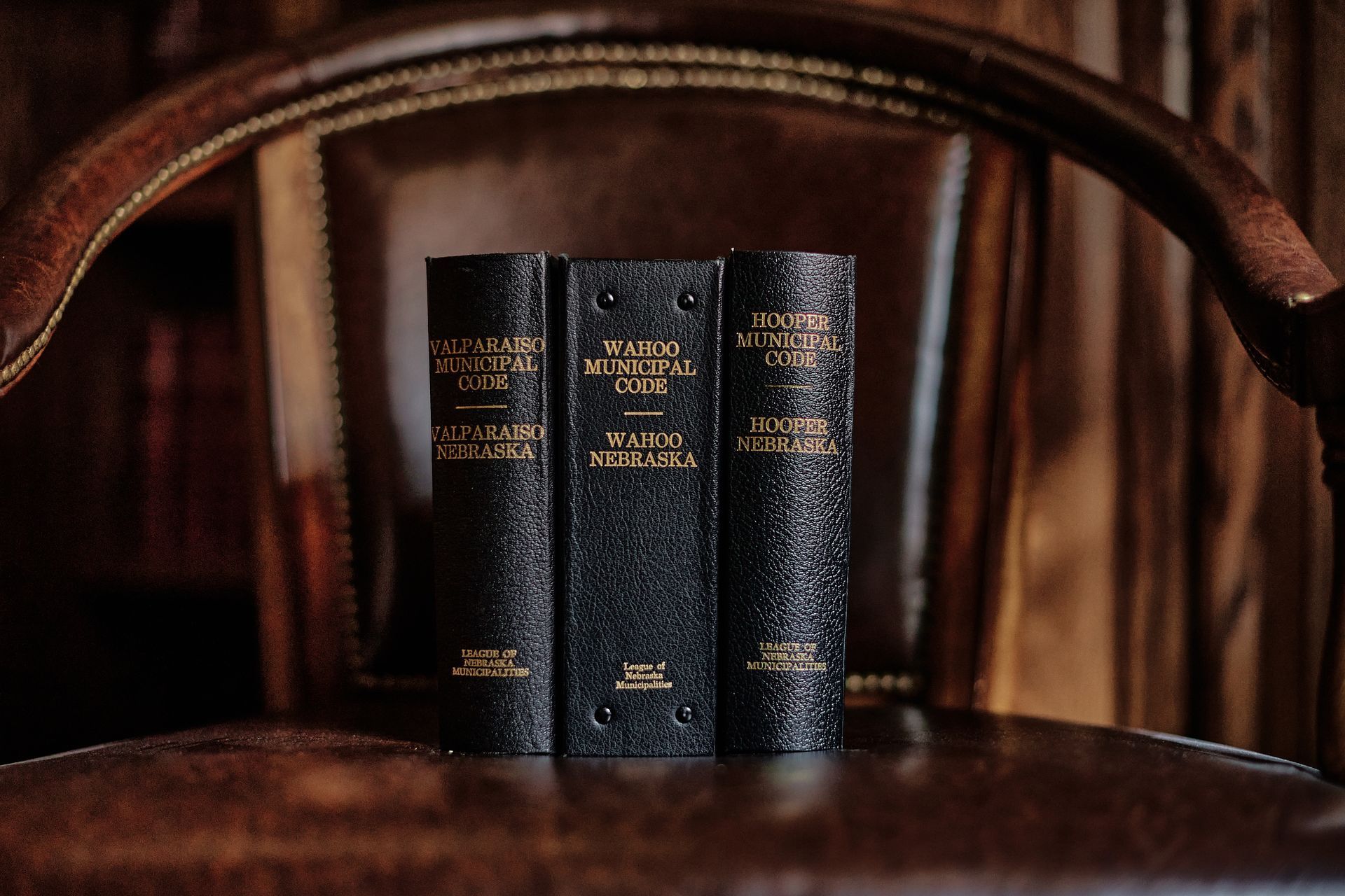 Three dark books with gold text on a brown leather chair.