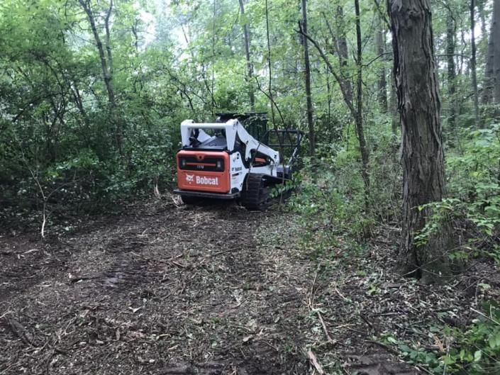 Orange and white skid steer in a muddy wooded trail, surrounded by dense green trees.