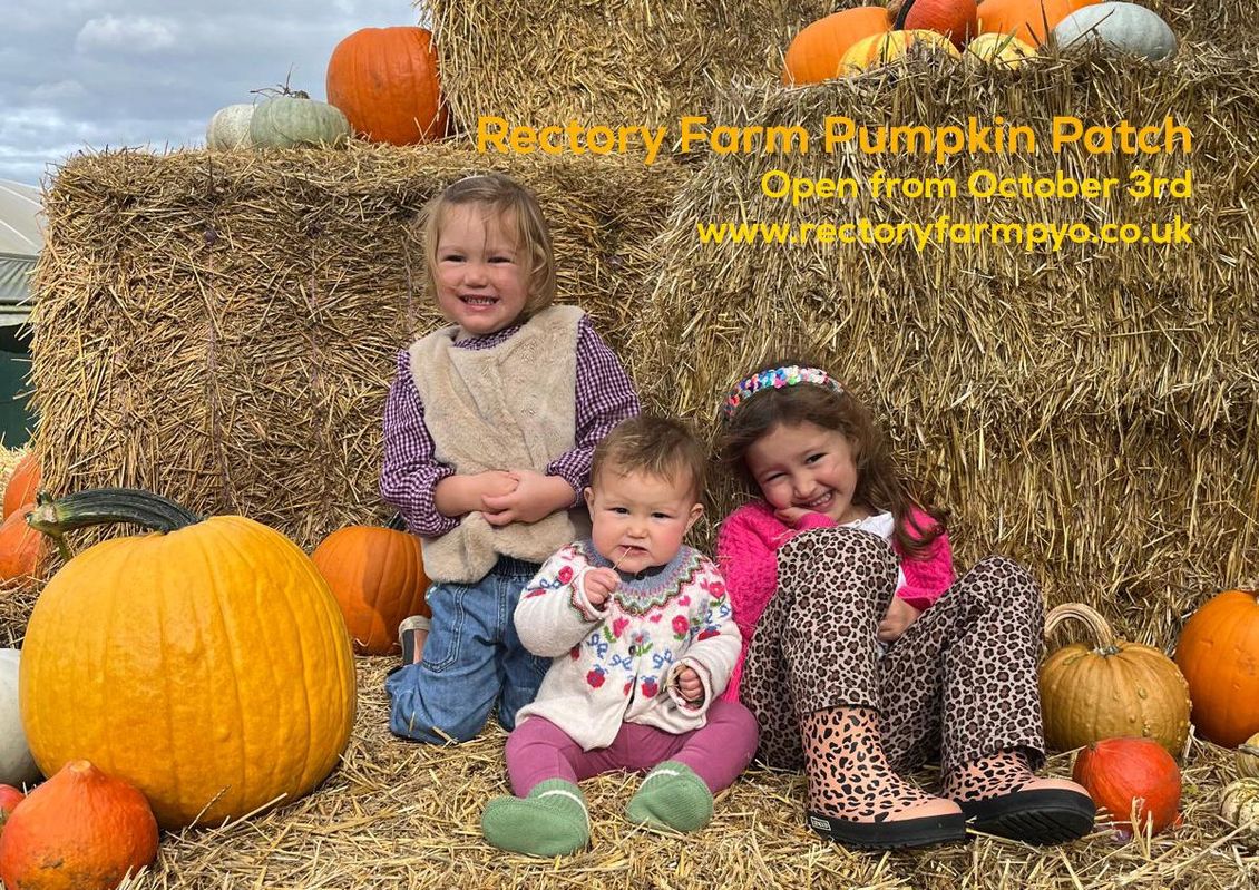 Kids on hay bales with pumpkins