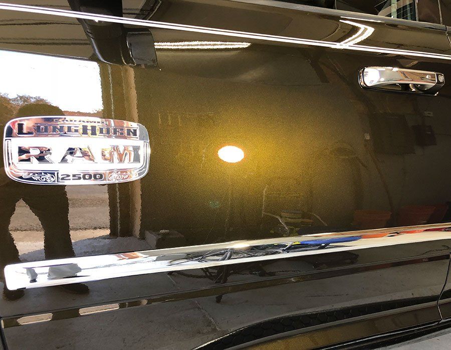 longhorn after paint correction
