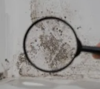 Magnifying glass highlighting black mold spots on a white wall corner