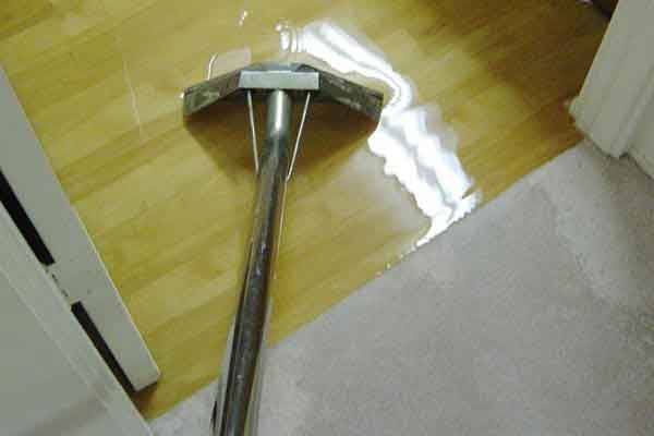 Carpet cleaning head on a hardwood floor beside a white rug