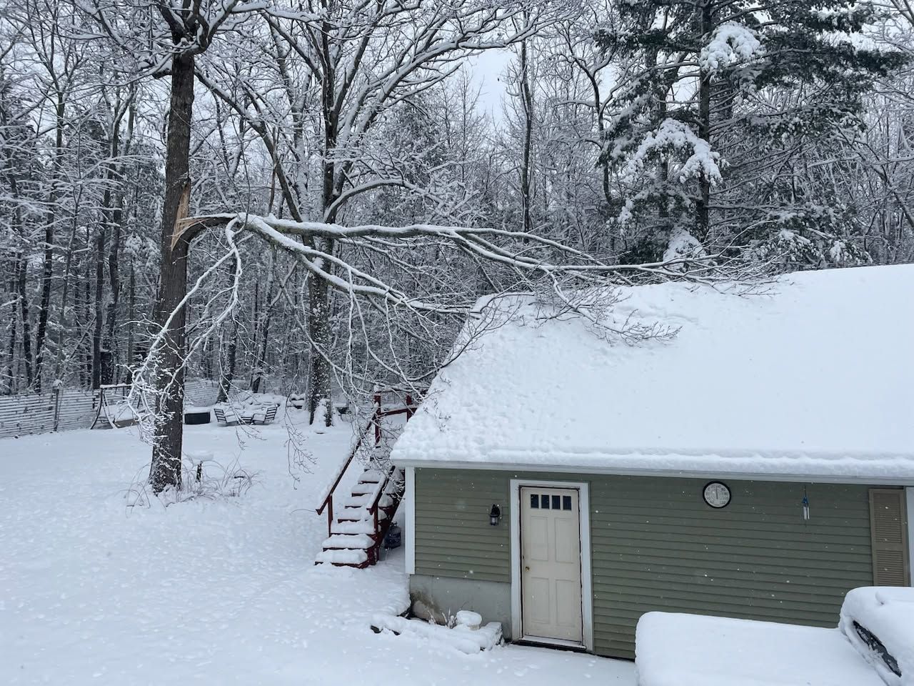 Snow-covered yard with a small green shed and trees in a winter landscape