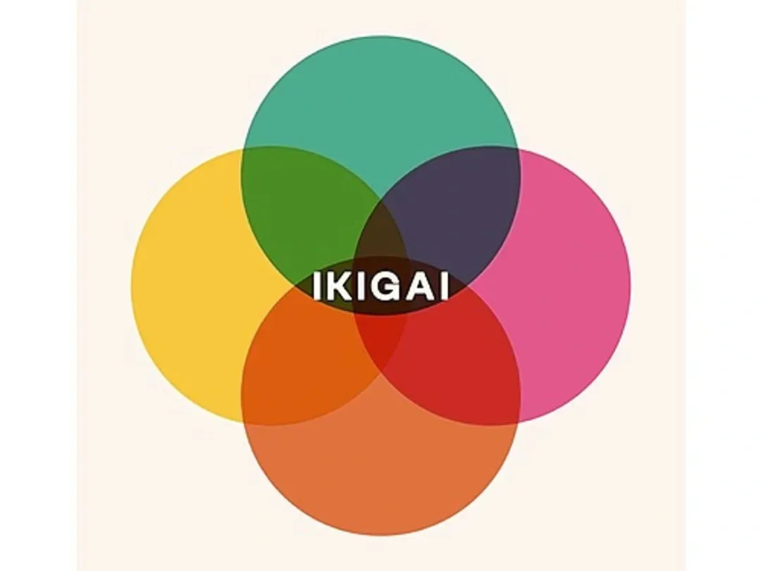 Un cercle coloré avec le mot ikigai dessus