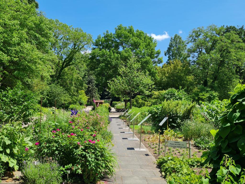 Frankfurt Botanischer Garten und Grüneburgpark