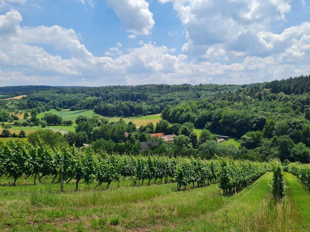Groß-Umstadt Panoramaweg