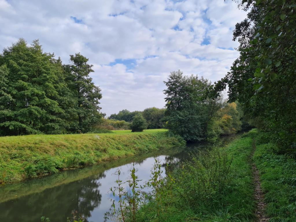 Rundweg Groß-Zimmern, Scheelhecke und Klein-Zimmern
