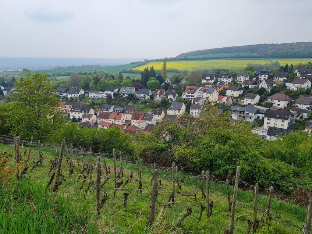 Romantische Runde bei Wiesbaden-Frauenstein