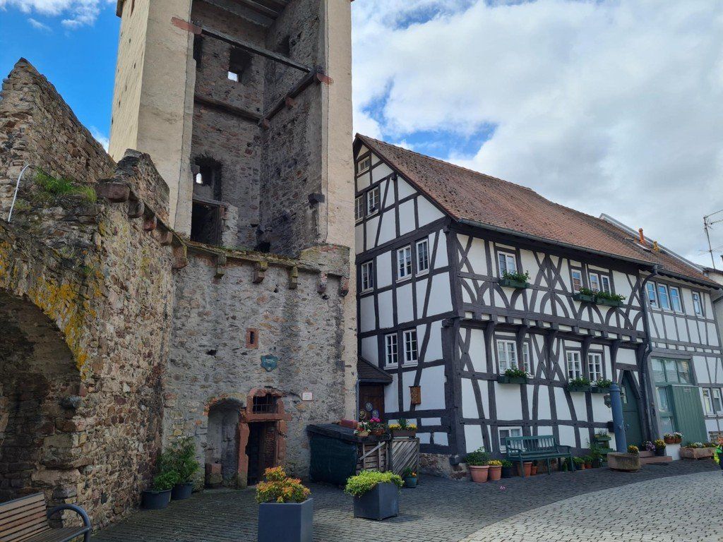 Babenhausen-Pyramideneiche-Altstadt