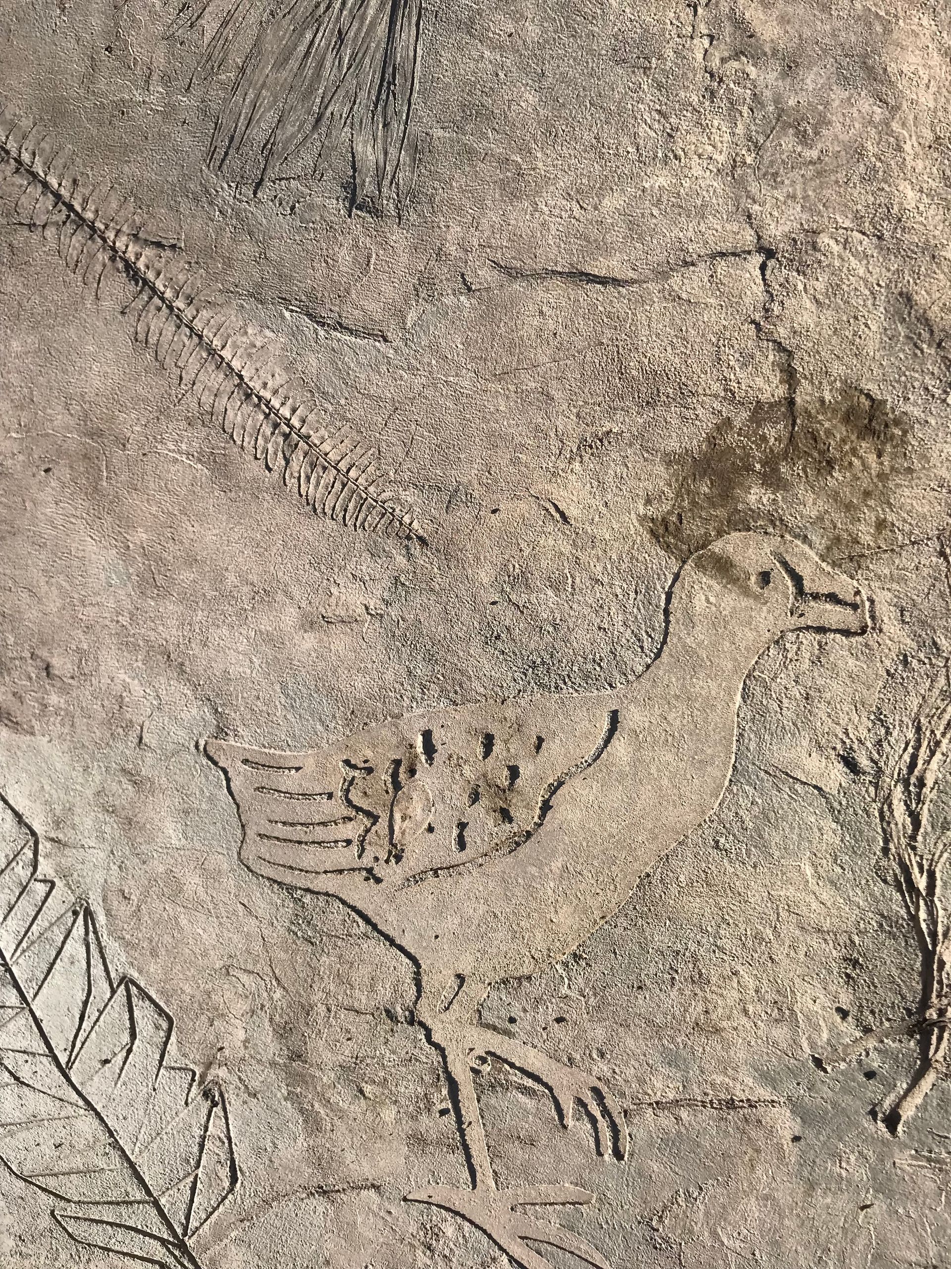A close up of a concrete surface with a drawing of a bird on it.
