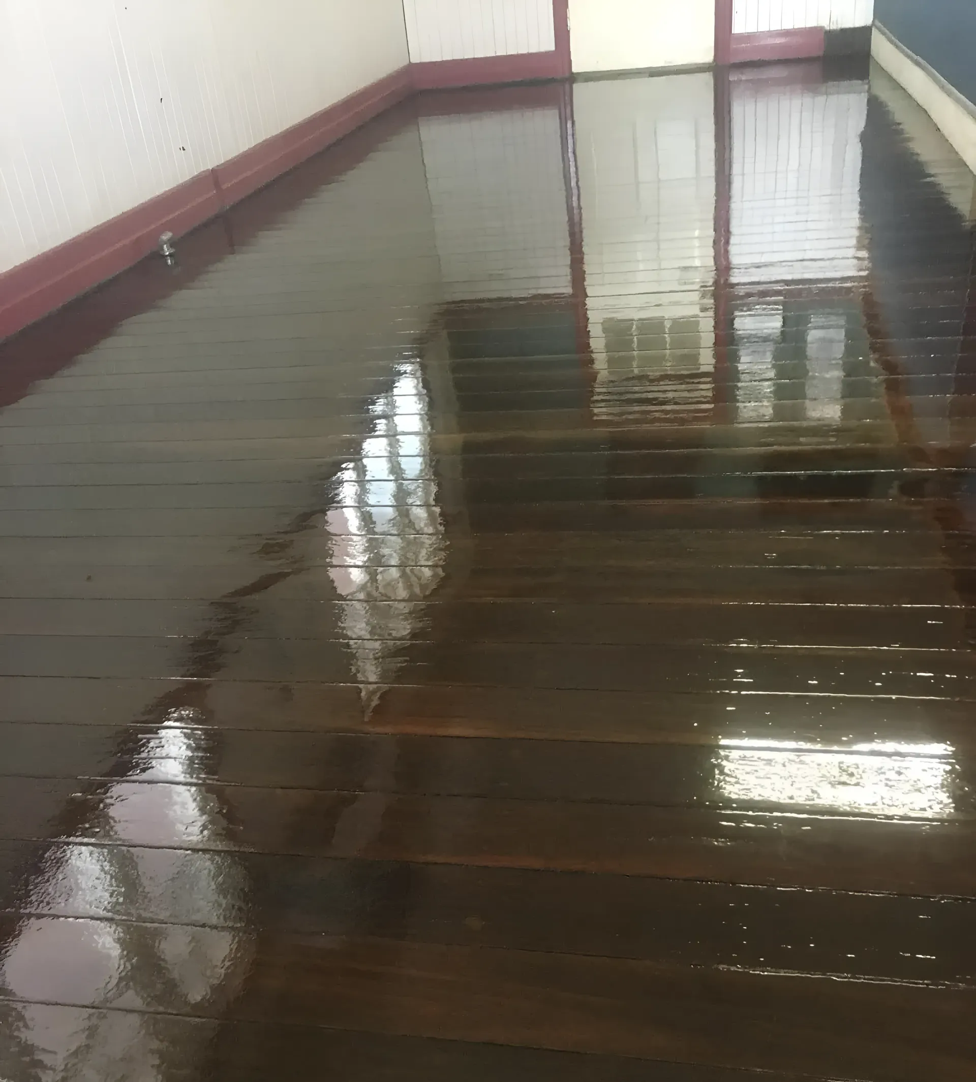 Shiny Dark Wooden Floor Reflecting Natural Light and Window — Toowoomba Polished Floors in Crows Nest, QLD