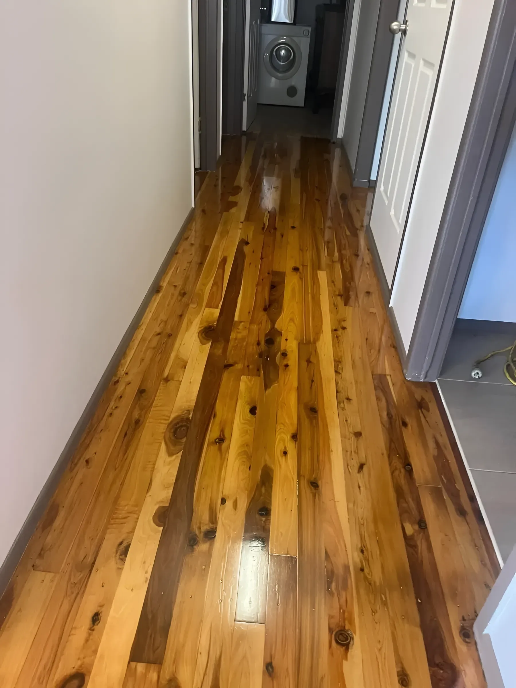 Wooden Hallway with Glossy Dark Brown Floors — Toowoomba Polished Floors in Crows Nest, QLD