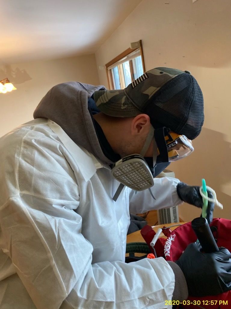 Mold Remediation