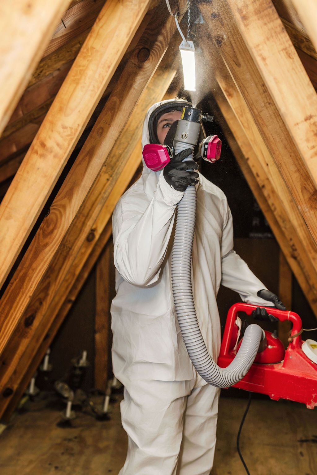 mold remediation in attic in Portage, Indiana