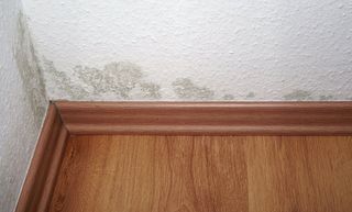 Mold in home - Valparaiso, IN