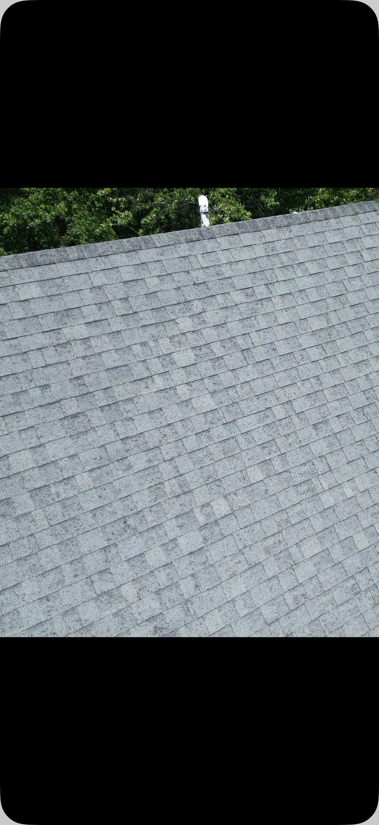 Close-up of a gray patterned roof with trees visible along the top edge.