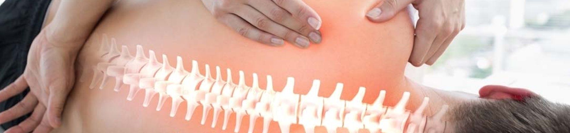 Spine 1