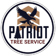 Logo: Black eagle, geometric brown shape, text "PATRIOT TREE SERVICE" in navy and maroon, surrounded by a navy and white circle.