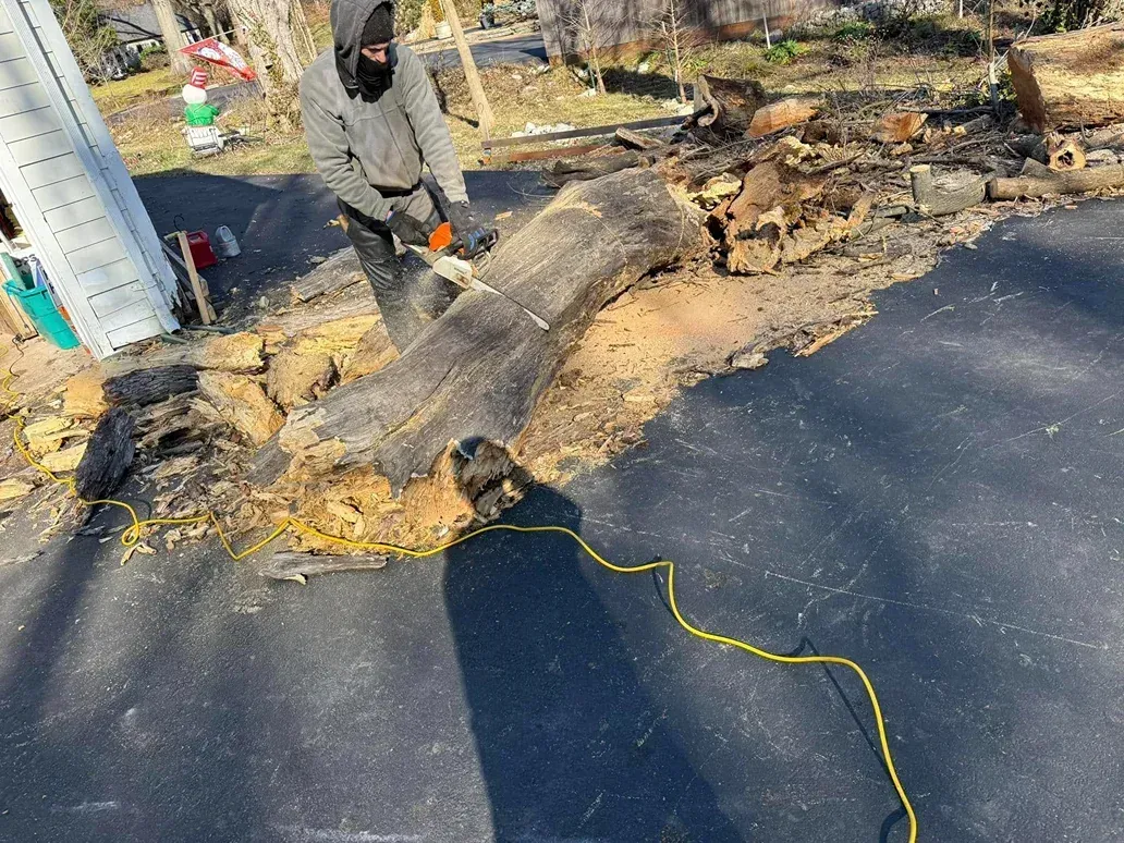Person using chainsaw on log, outdoors. Wood debris on black ground covering.