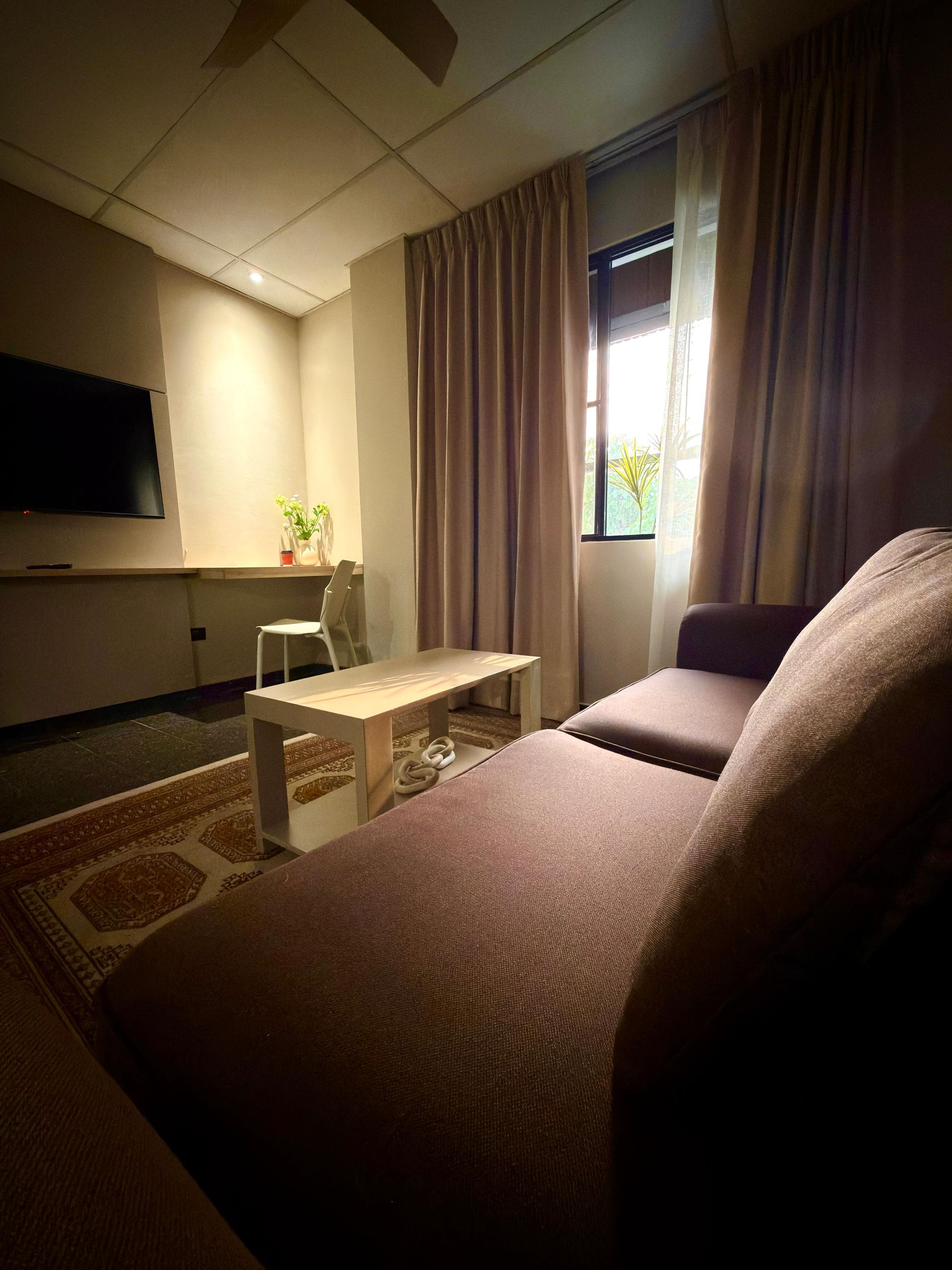 Acogedora sala de estar con sofá marrón, mesa de centro, televisor y cortinas junto a una ventana luminosa.