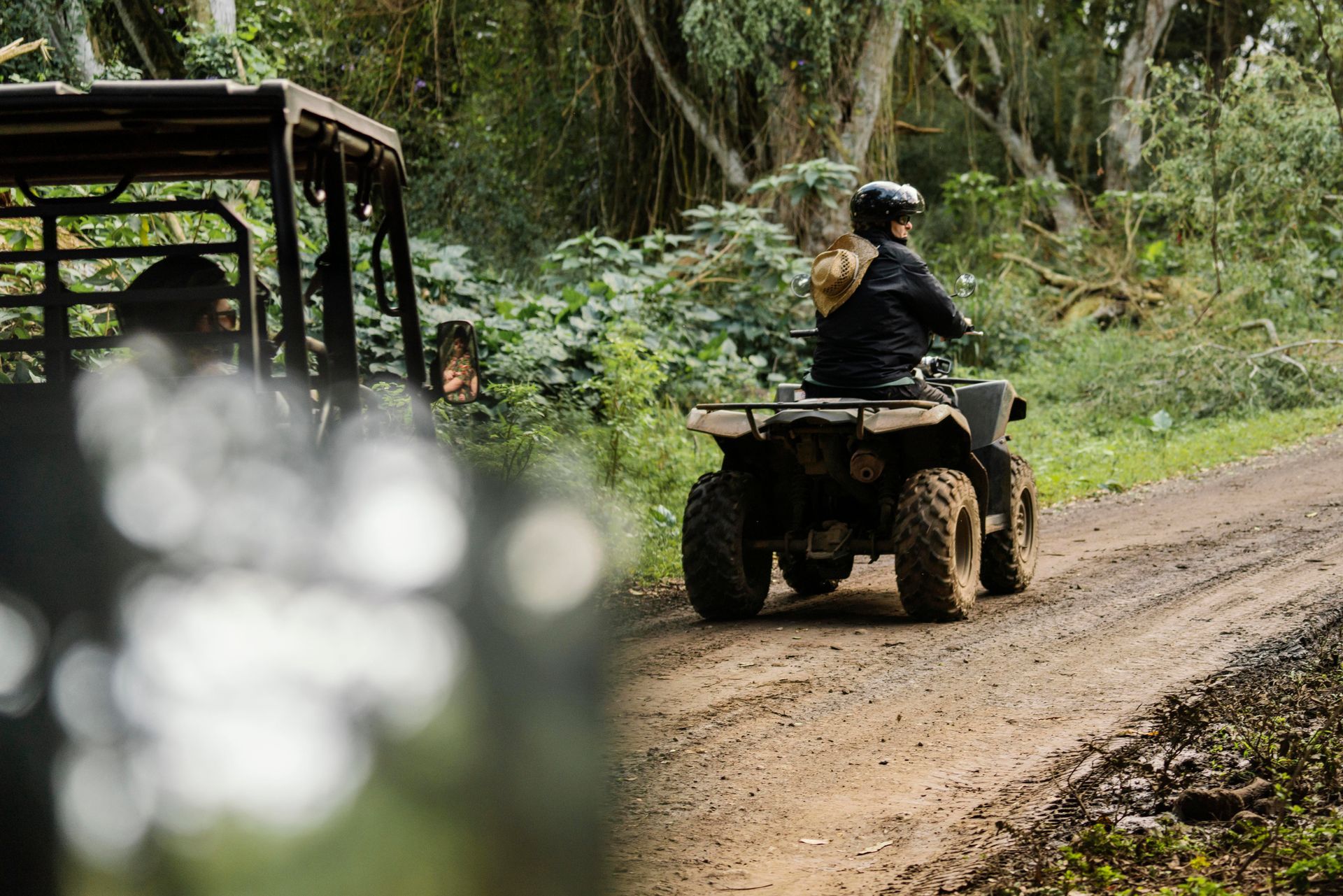 Persona conduciendo un quad negro por un camino de tierra en un bosque frondoso y verde.