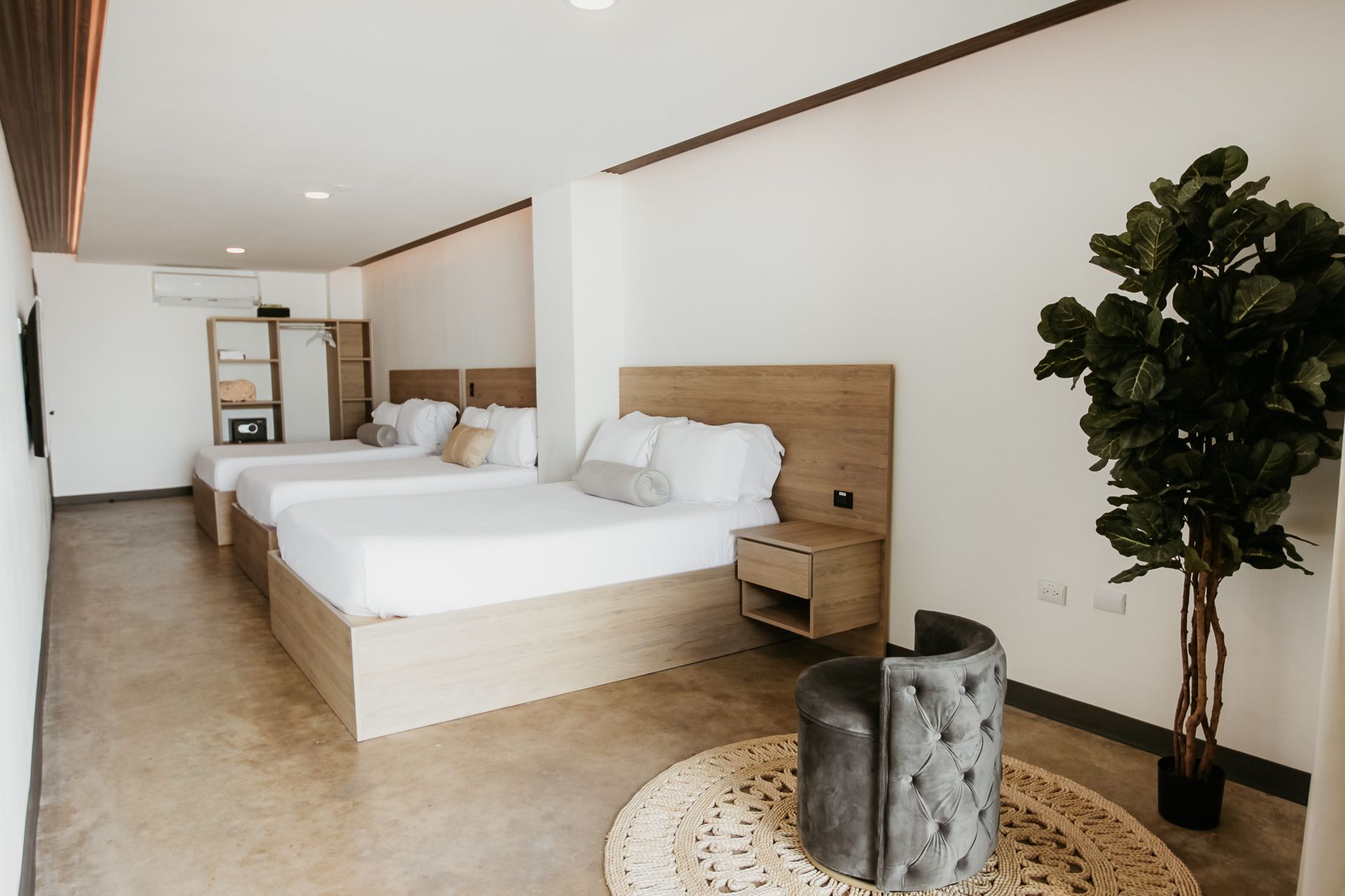 Habitación de hotel luminosa con dos camas bien hechas, mesitas de noche de madera y una planta en maceta cerca de la ventana.