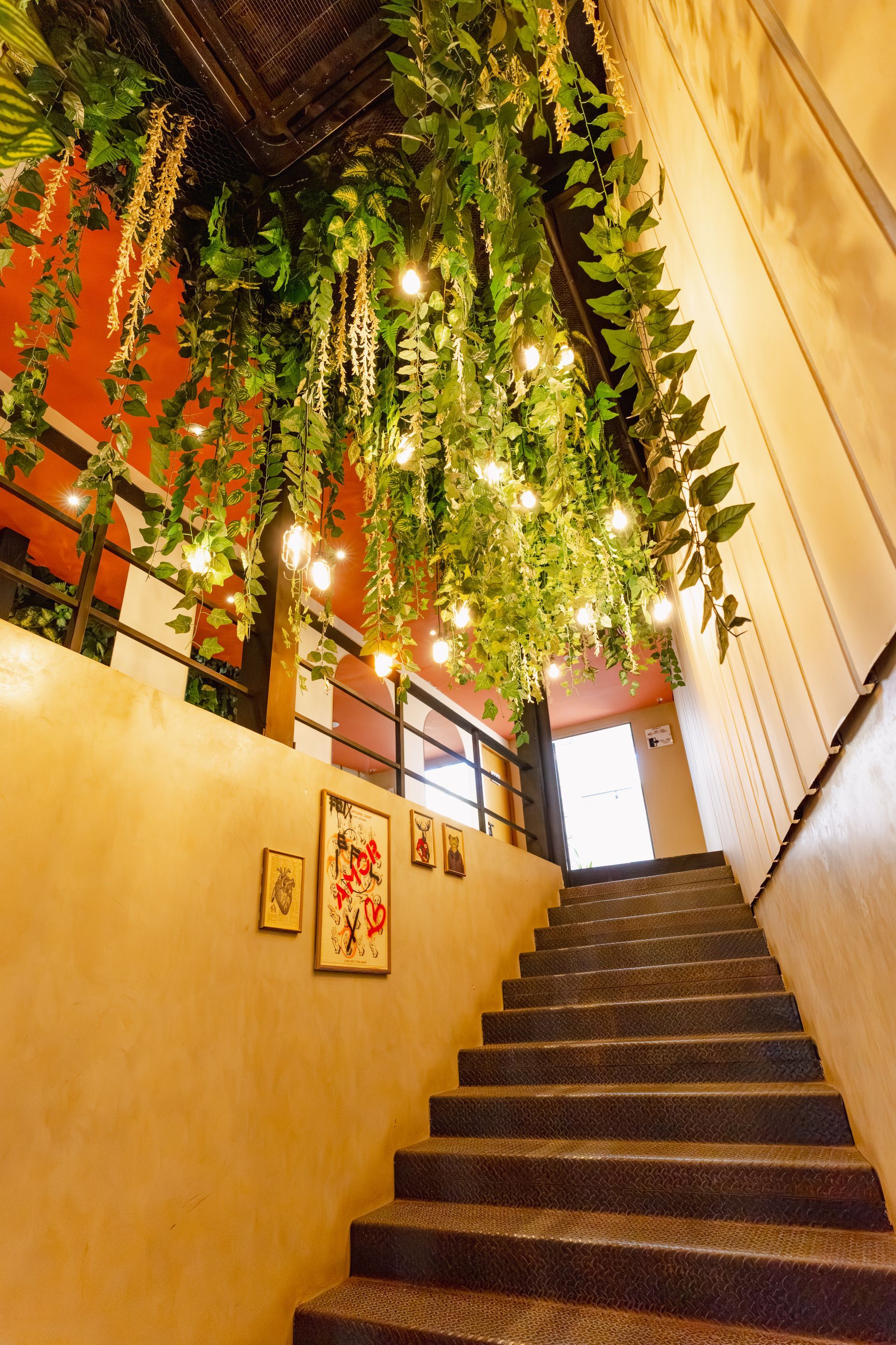 Escalera bajo plantas verdes colgantes y luces cálidas en un estrecho pasillo interior.