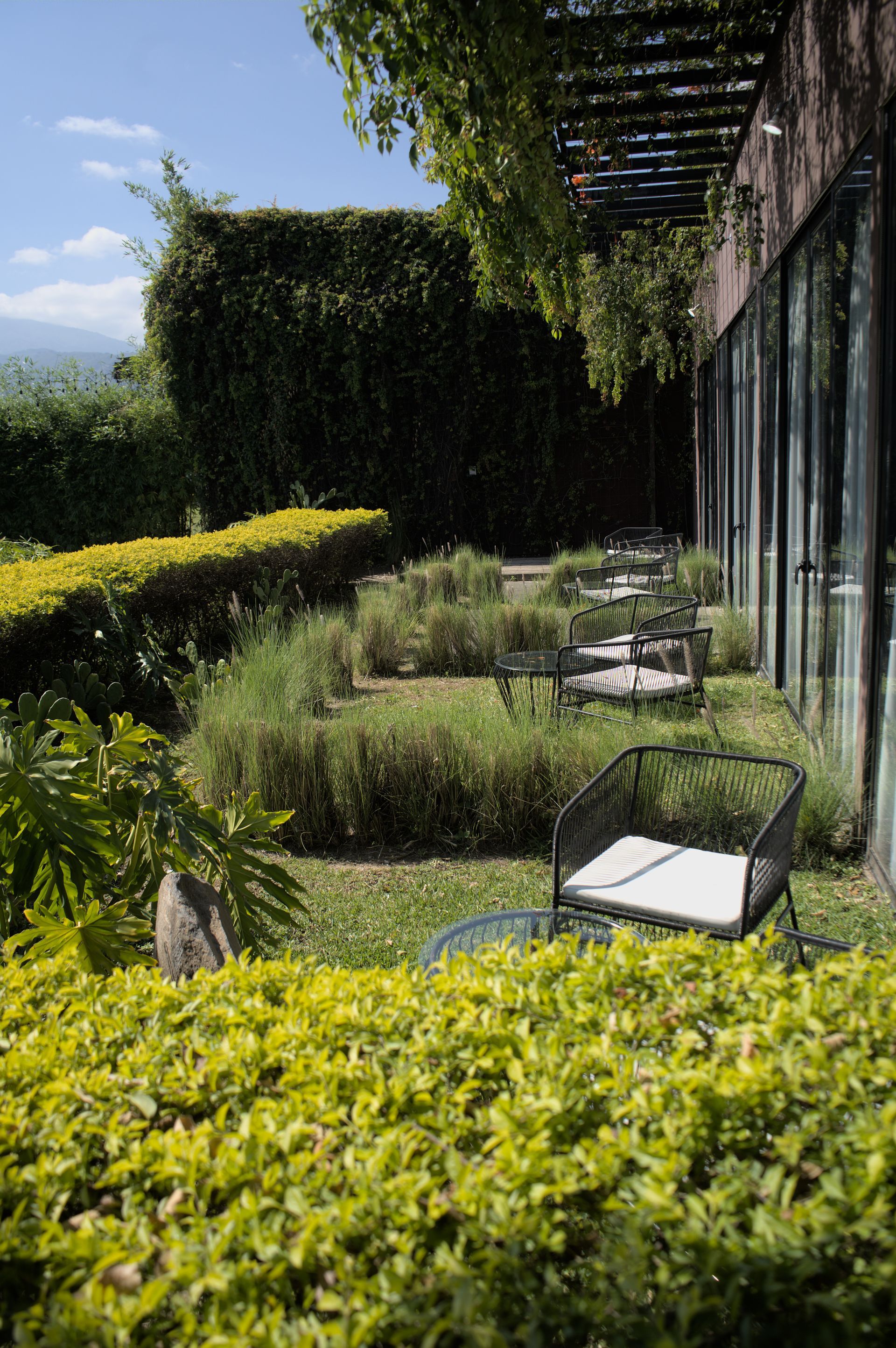 Patio moderno con jardín, exuberante vegetación, sillas negras y puertas de cristal junto a una pérgola sombreada en cardedeu coatepeque