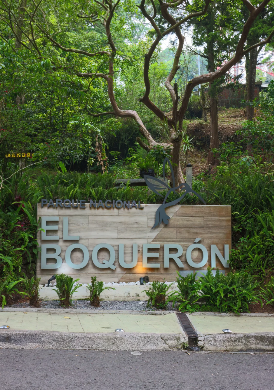 Letrero de madera con la inscripción “EL BOQUERON” en un exuberante jardín verde junto a una acera.